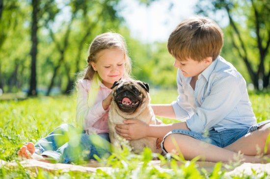 Good with Kids Dog Breeds
