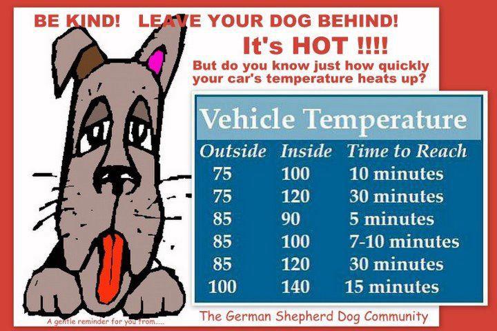 vehicle temperature