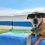 10 Tips for Pets in Summer