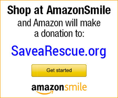 Amazon Smile Savearescue 24 X200