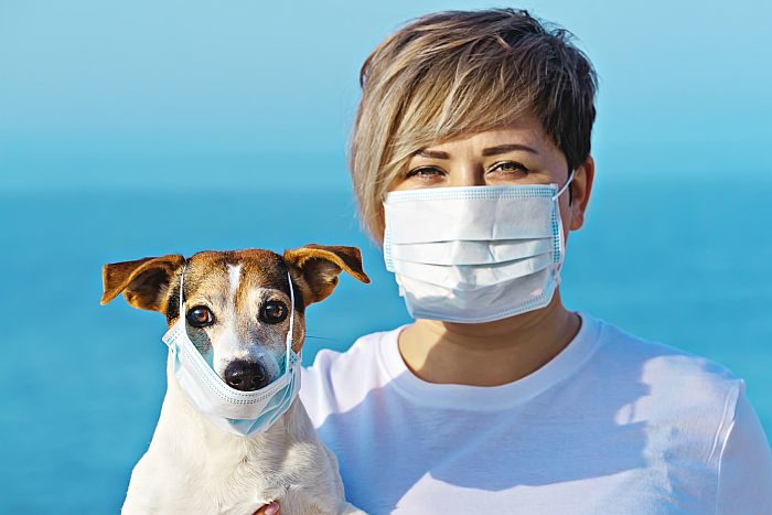 CoronaVirus [COVID-19 & Our Dogs & Cats]:  Can Our Pets Get &/Or Transmit the CoronaVirus to Us?