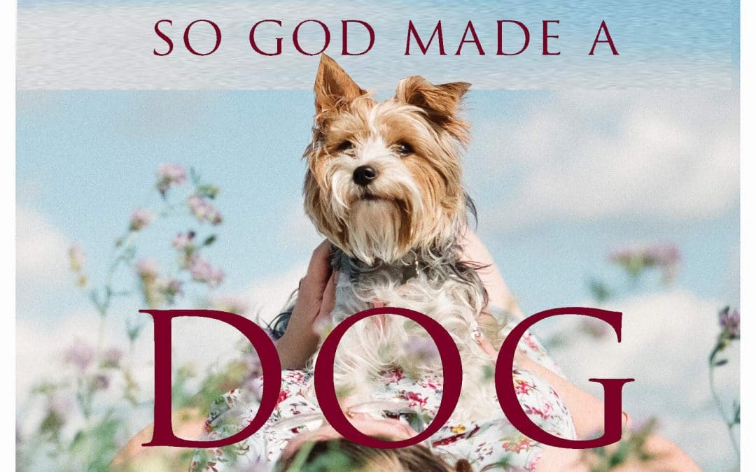 So God Made A Dog ~ Video!