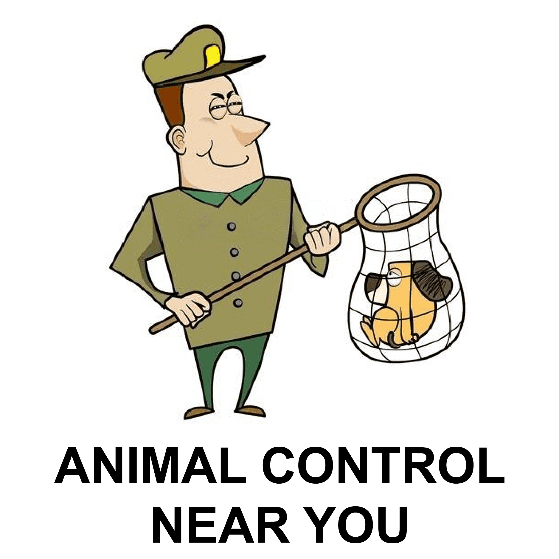 Animal Control Near You