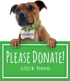 Donate38